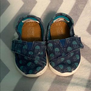 Baby Toms